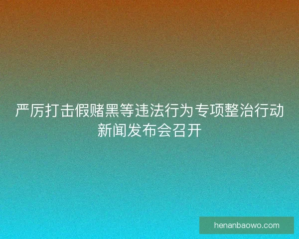 严厉打击假赌黑等违法行为专项整治行动新闻发布会召开